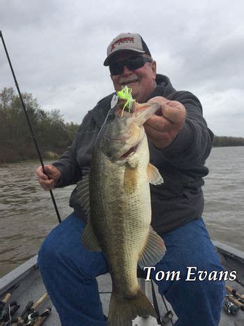 lake fork weekly fishing report  There is still a shallow bite on squarebill crankbaits in 3-6 feet of water